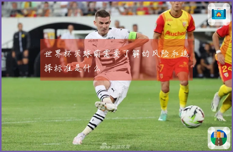 世界杯买球前需要了解的风险和选择标准是什么