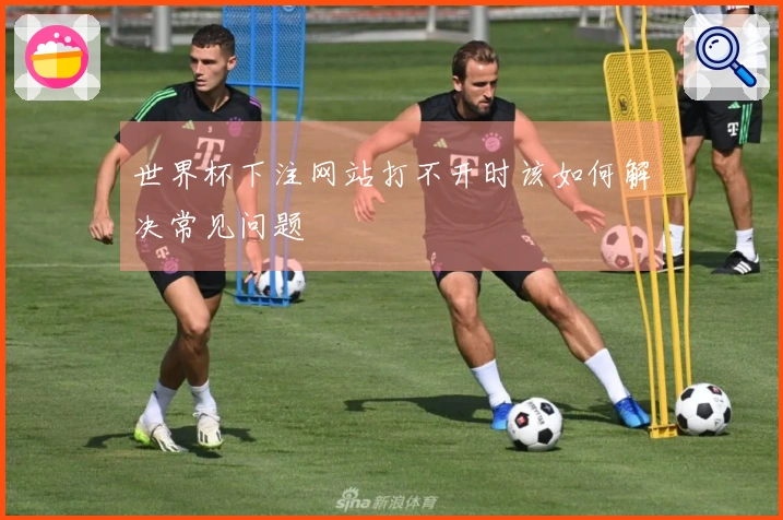 世界杯下注网站打不开时该如何解决常见问题
