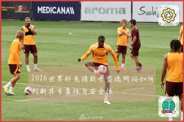 2026世界杯竞猜新手首选网站如何判断其可靠性与安全性
