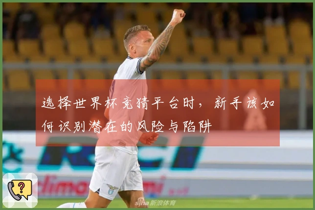 选择世界杯竞猜平台时，新手该如何识别潜在的风险与陷阱