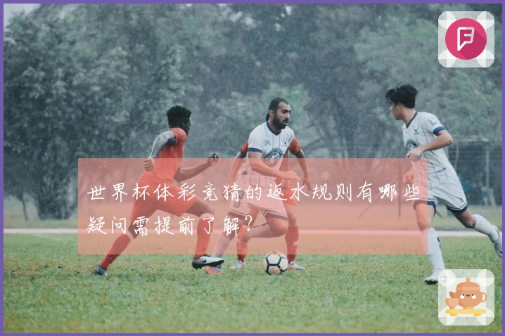 世界杯体彩竞猜的返水规则有哪些疑问需提前了解？