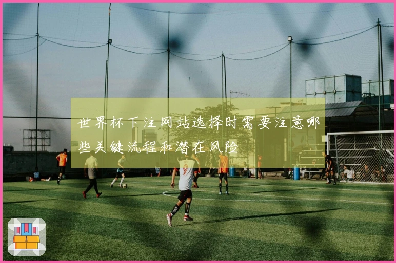 世界杯下注网站选择时需要注意哪些关键流程和潜在风险