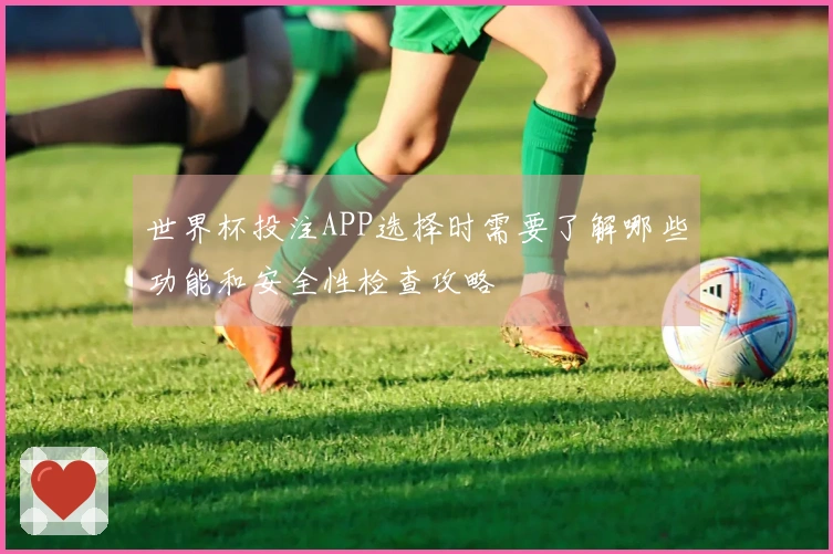 世界杯投注APP选择时需要了解哪些功能和安全性检查攻略