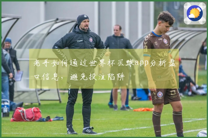 老手如何通过世界杯买球app分析盘口信息，避免投注陷阱