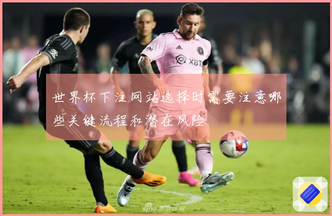 世界杯下注网站选择时需要注意哪些关键流程和潜在风险