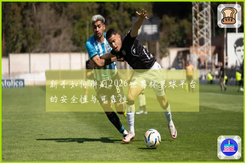 新手如何辨别2026世界杯买球平台的安全性与可靠性