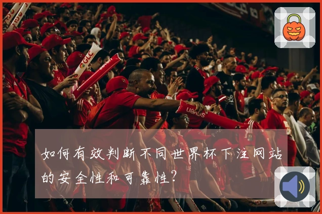 如何有效判断不同世界杯下注网站的安全性和可靠性？